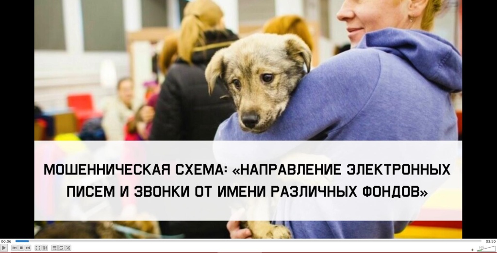 фонды.jpg