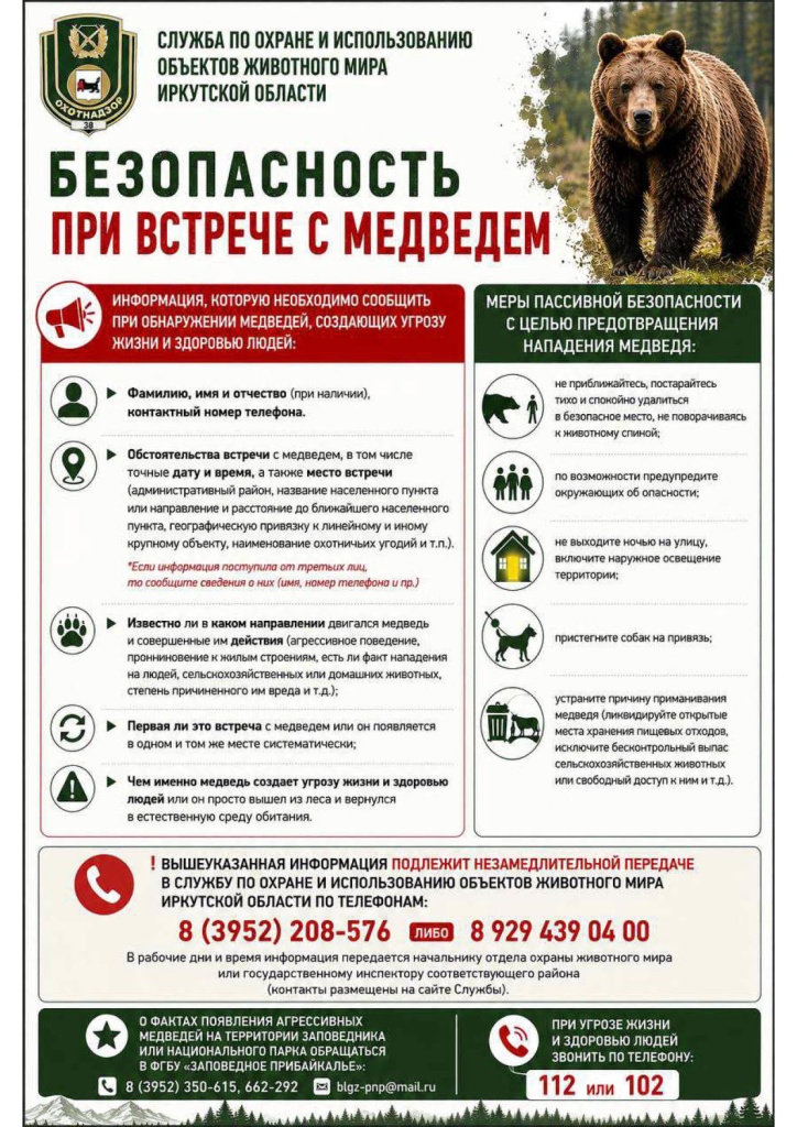pamyatka_po_bezopasnosti_pri_vstreche_s_medvedem_1.jpg